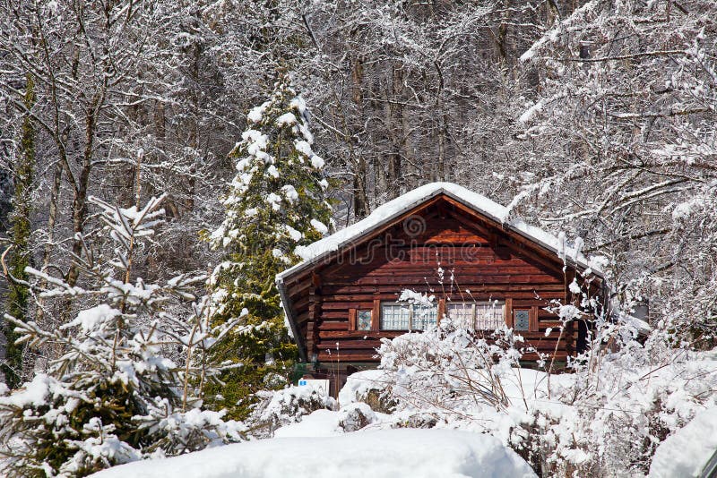 Winter holiday house