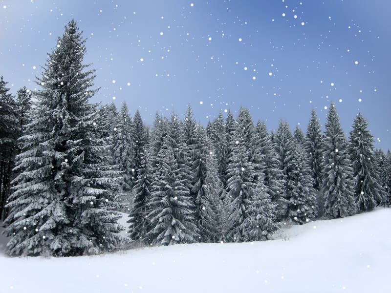 Winter Holiday Theme background