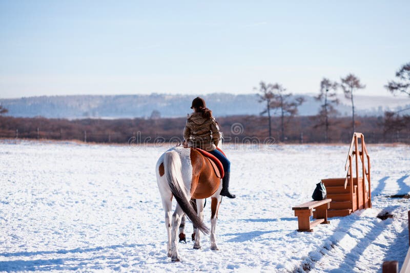 Winter horse rider