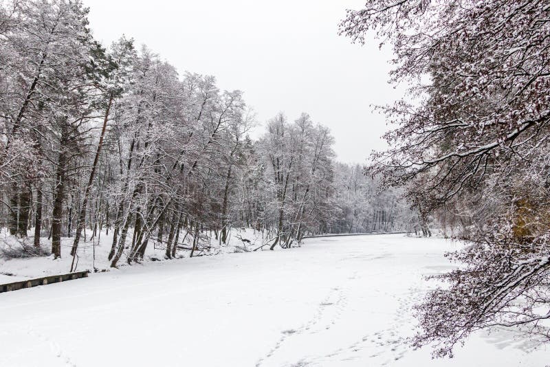 Winter lake covered with ice and snow royalty free stock photo Winter lake covered with ice and snow royalty free stock photo