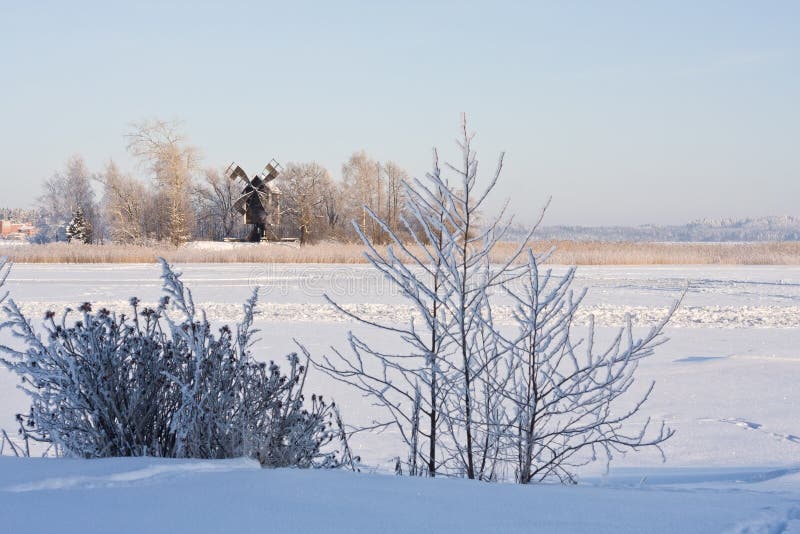 Winter lake landscape