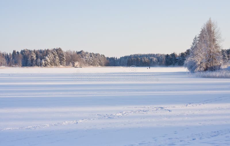 Winter lake landscape