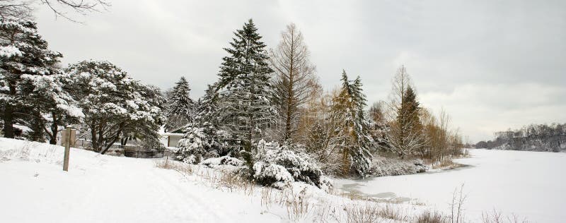 Winter lake shore view with naked snow trees