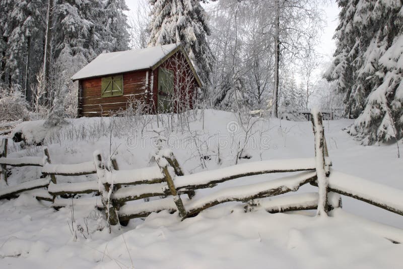 Winter landscape