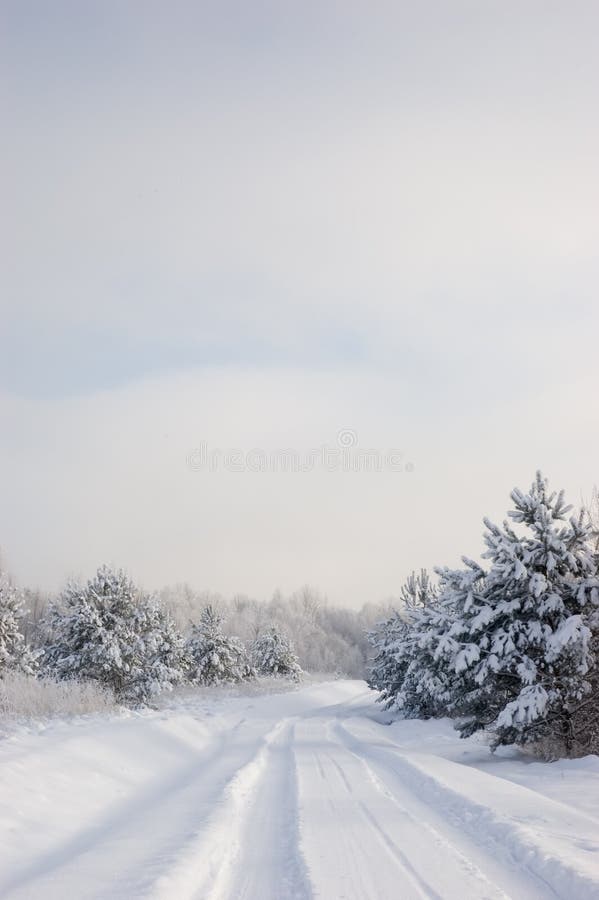 Winter landscape