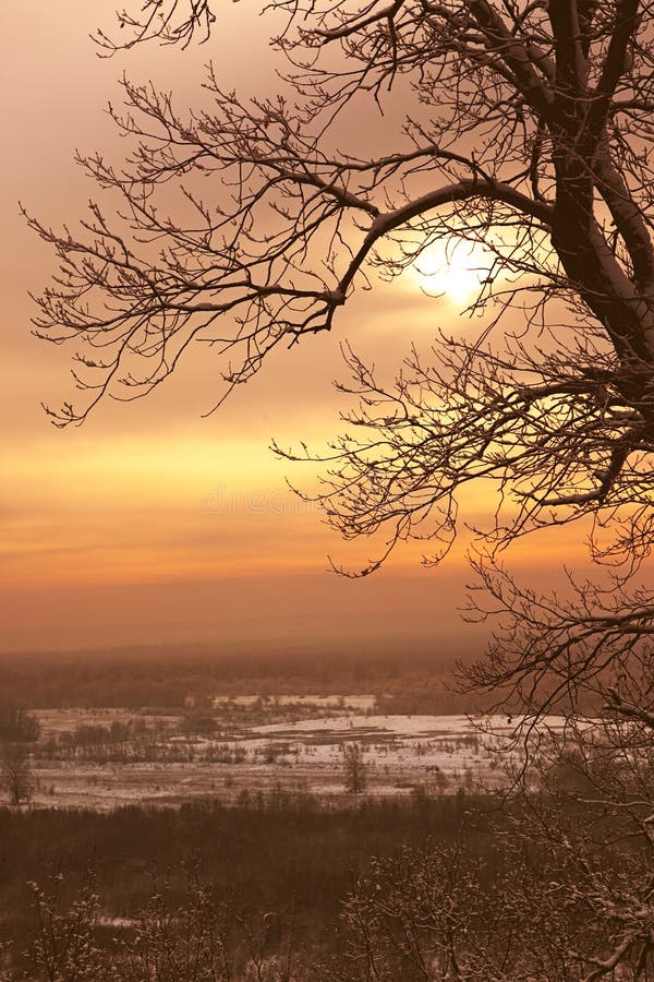 Winter Landscape