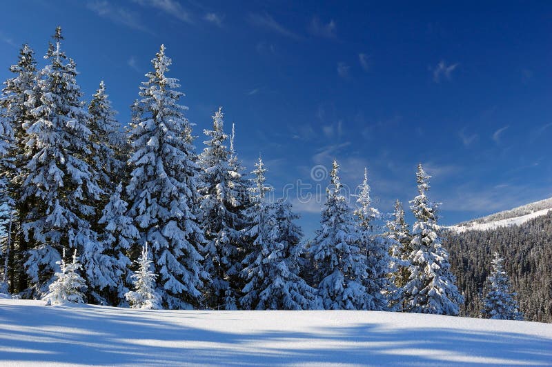 Winter landscape