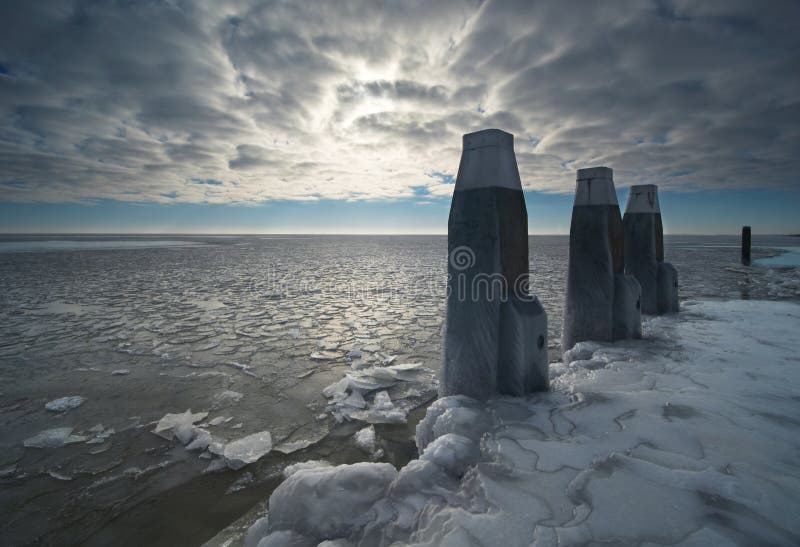 Winter landscape