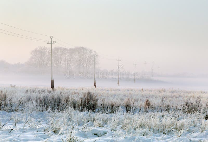 Winter landscape