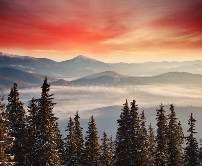 Winter landscape with a dawn in mountains