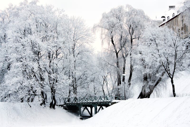 Winter landscape