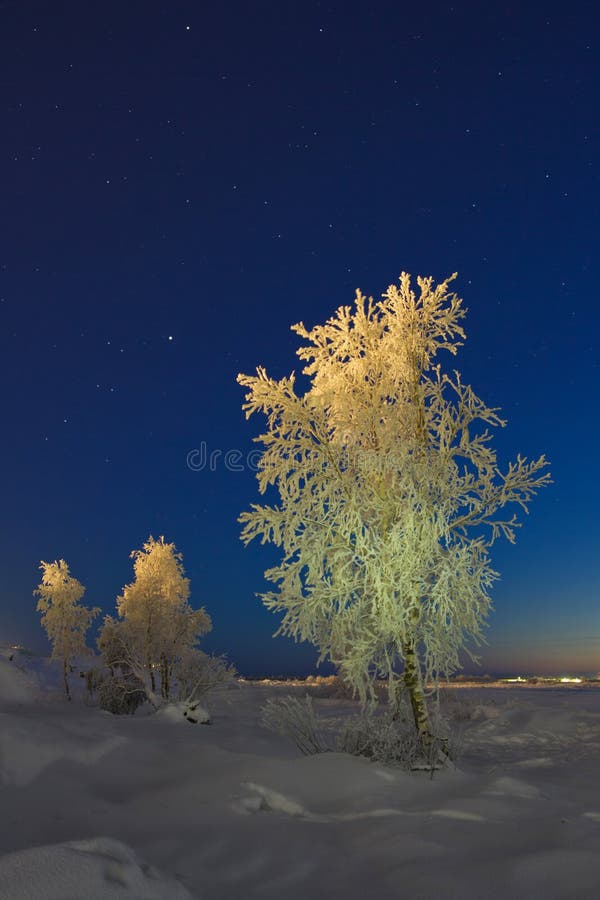 Winter Landscape