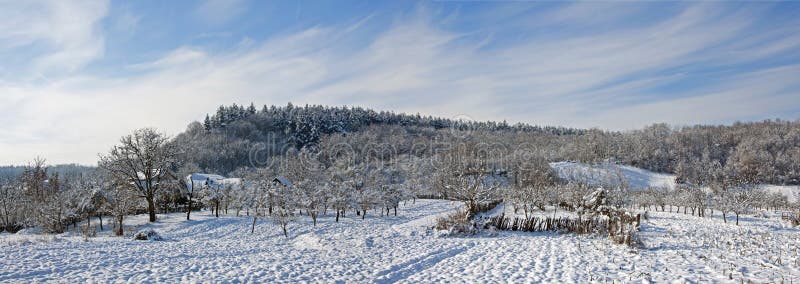 Winter landscape