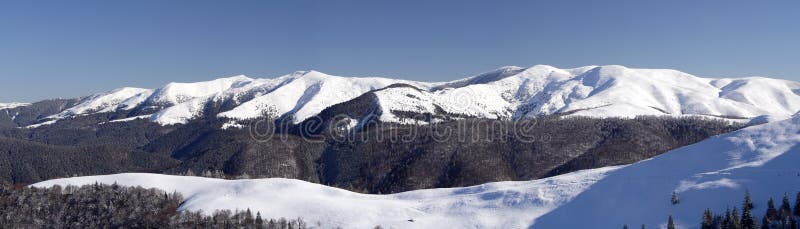 Winter landscape of Neamtului Mountains, located in the Carpathians