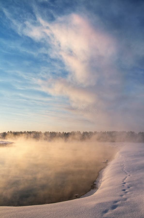 Winter Landscape