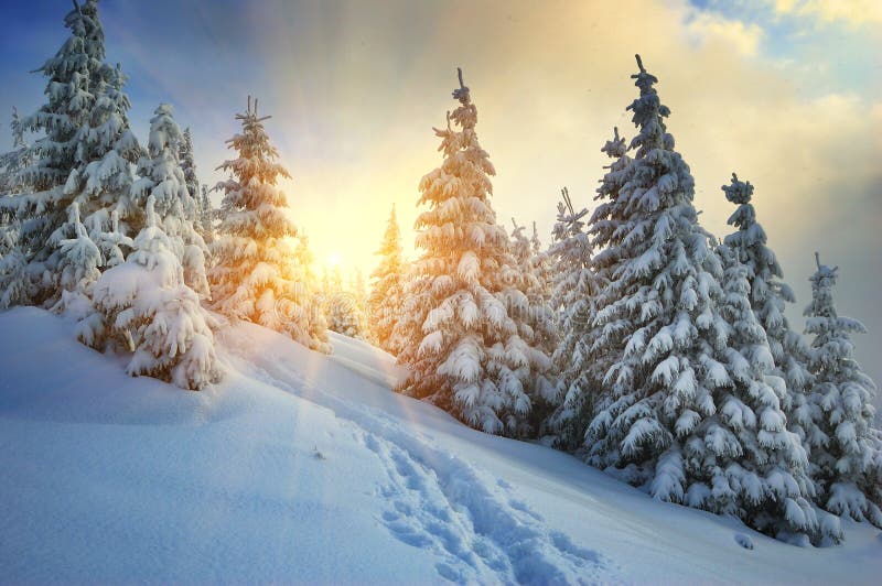 Winter landscape on a sunset. Mountains Carpathians, Ukraine