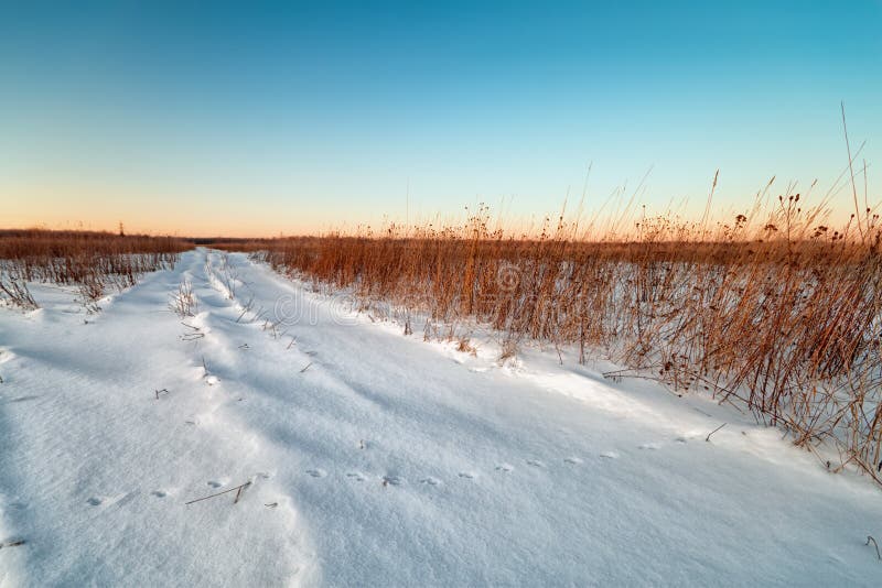 Winter landscape