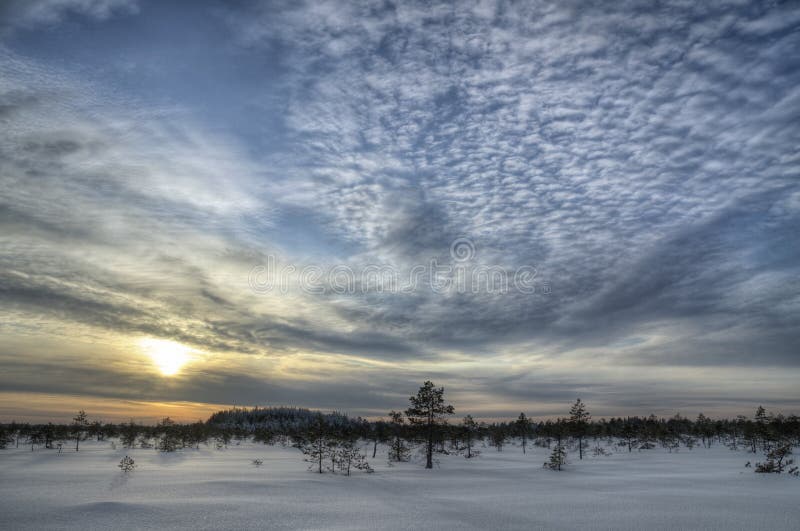 Winter Landscape