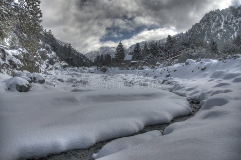 Winter landscape