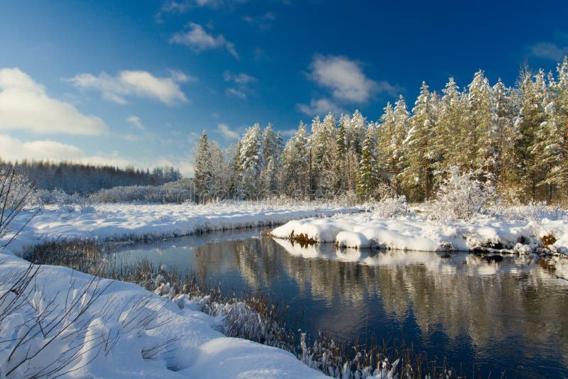 Winter landscape