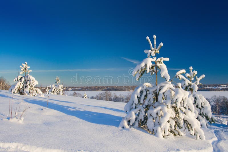 Winter landscape