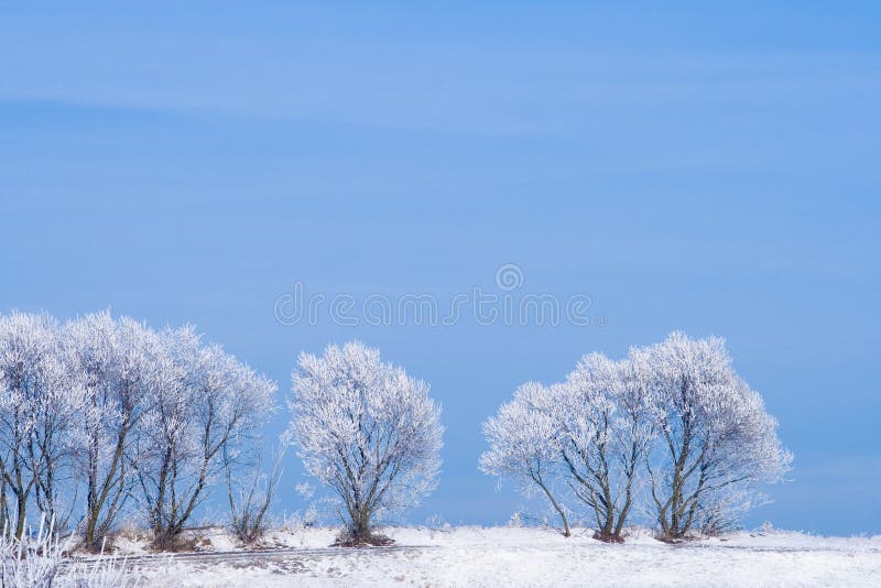 Winter landscape