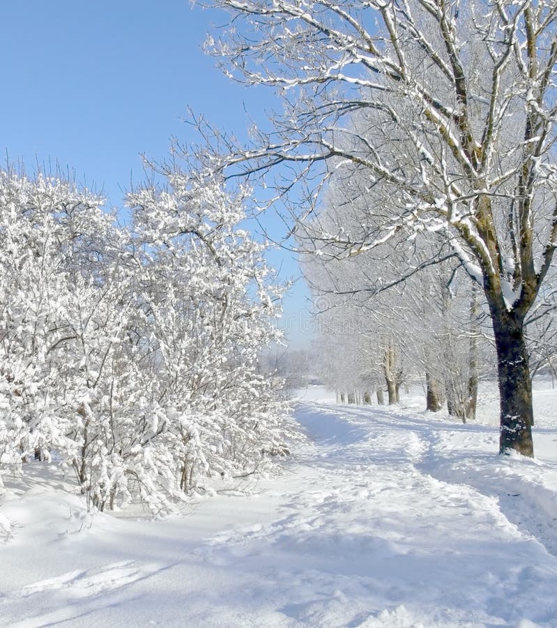 Winter landscape stock photo. Image of chill, country - 3962518