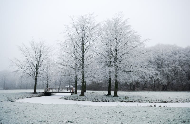 Winter landscape scene stock image. Image of wood, travel - 3895817