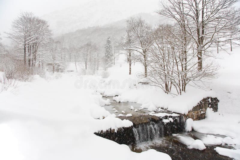 Winter landscape