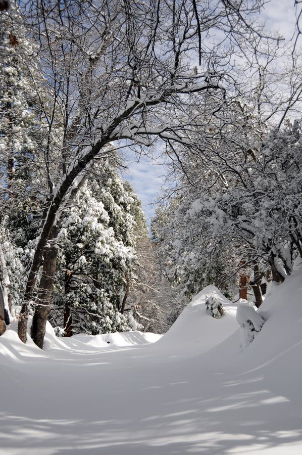 Winter landscape