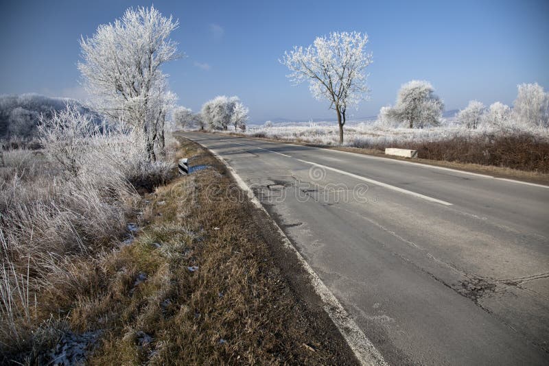 Winter landscape