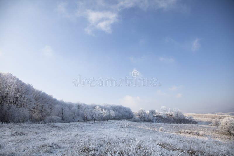 Winter landscape