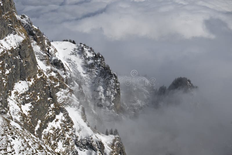 Winter landscape