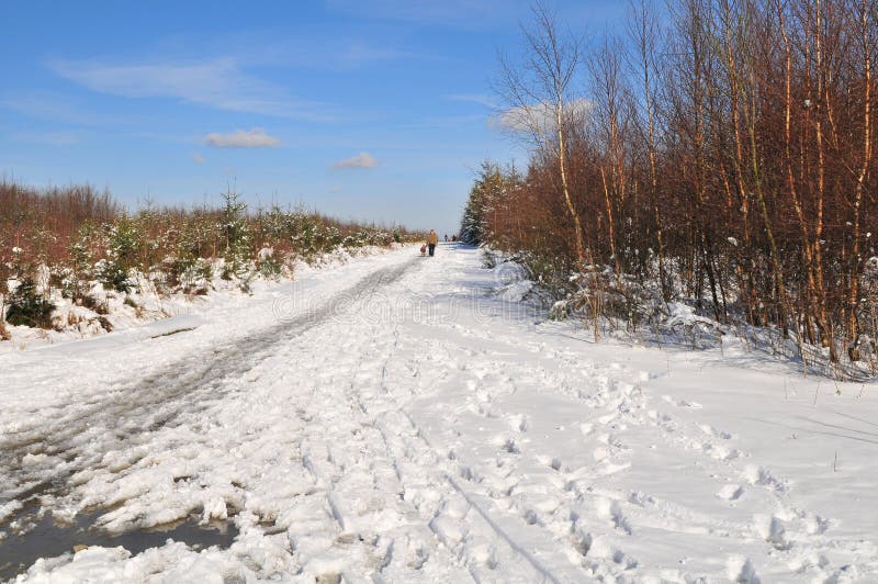 Winter landscape in Ardennes