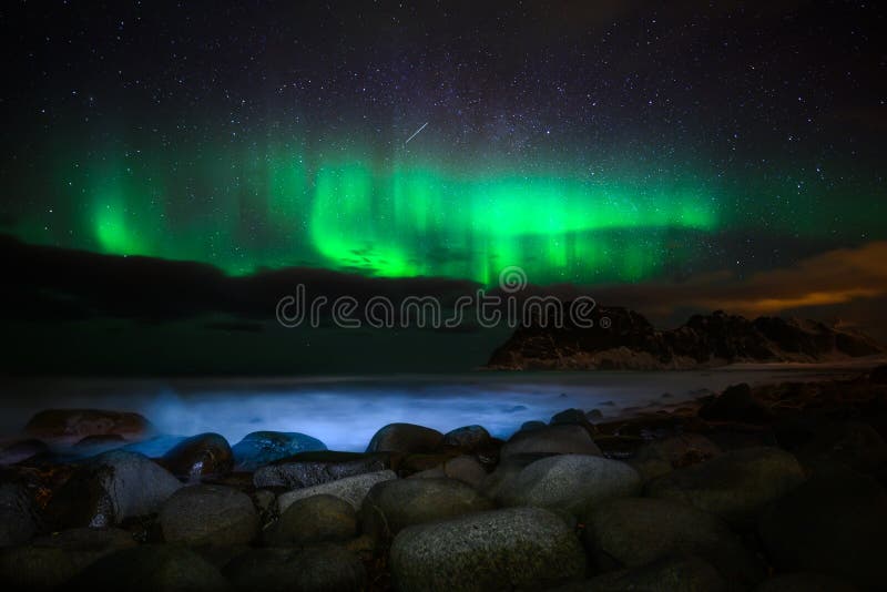 Winter landscape with Aurora Borealis in Lofoten archipelago , Norway northern lights.