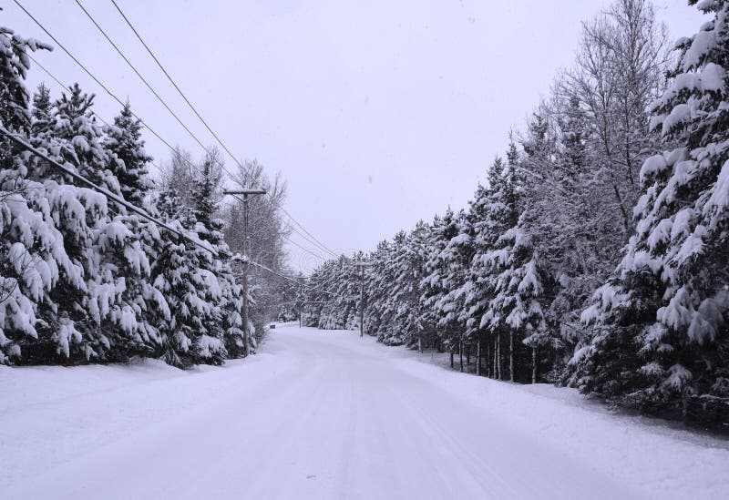 Winter Landscape Bromont Shefford Quebec Stock Image Image of