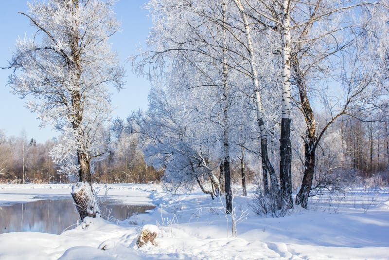 Winter landscape in clear weather. Morning bright sun. Snow plays shine. Frosty Snow Park