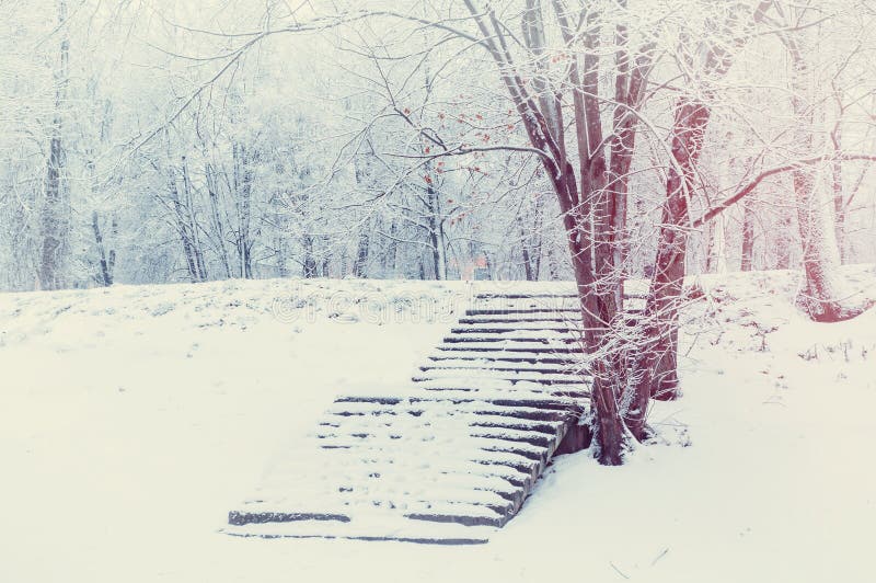 Winter landscape in cold tones - winter frosty trees and old stone stairs in the winter park, retro tones.