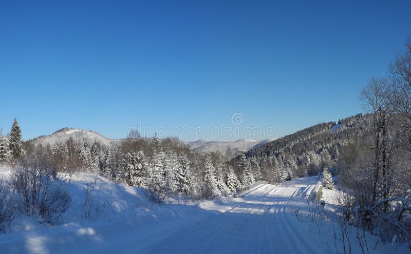 Winter landscape. Country road covered with fresh snow. Tysovets sports base, Ukraine. royalty free stock image Winter landscape. Country road covered with fresh snow. Tysovets sports base, Ukraine. royalty free stock image