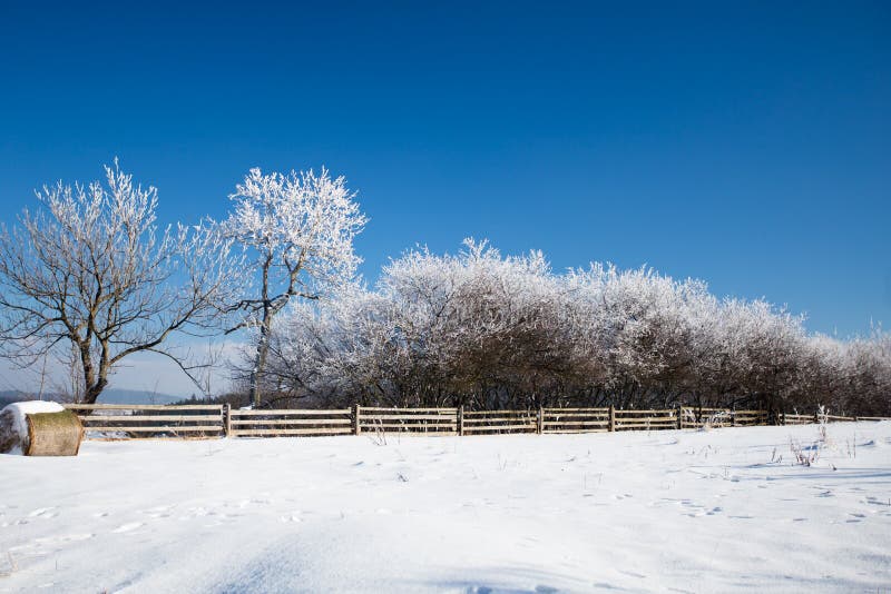 Winter landscape in dolnoslaskie, Poland