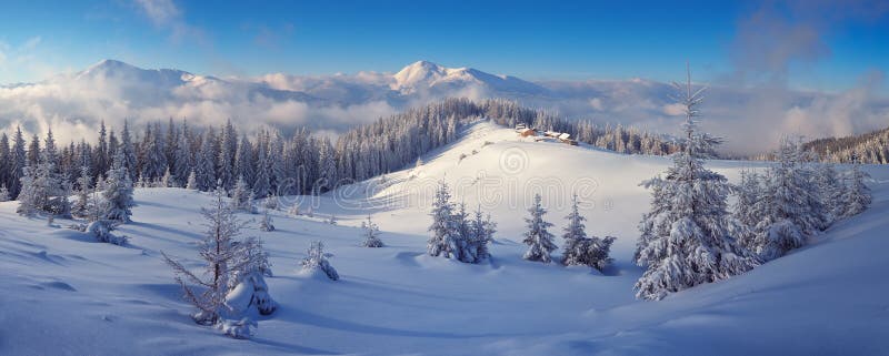 Winter Landscape. Winter forest in mountains. Snow on the trees. Christmas landscape royalty free stock images