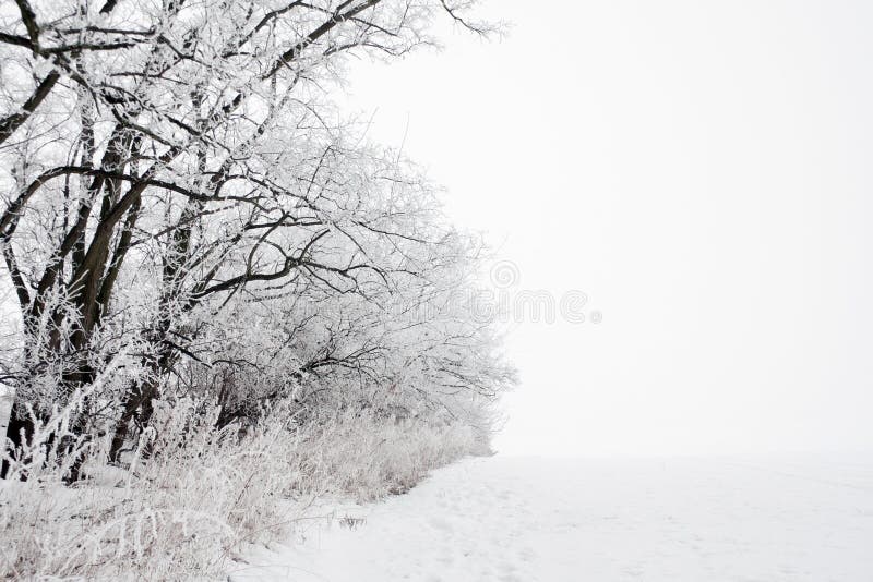 Winter landscape of frosted tree stock photography Winter landscape of frosted tree stock photography