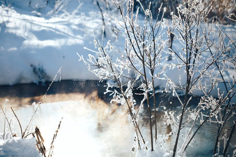 Winter Photography Winter River Frosty Trees Landscape Instant Download- Digital Photo Landscape Photography Nature Photography