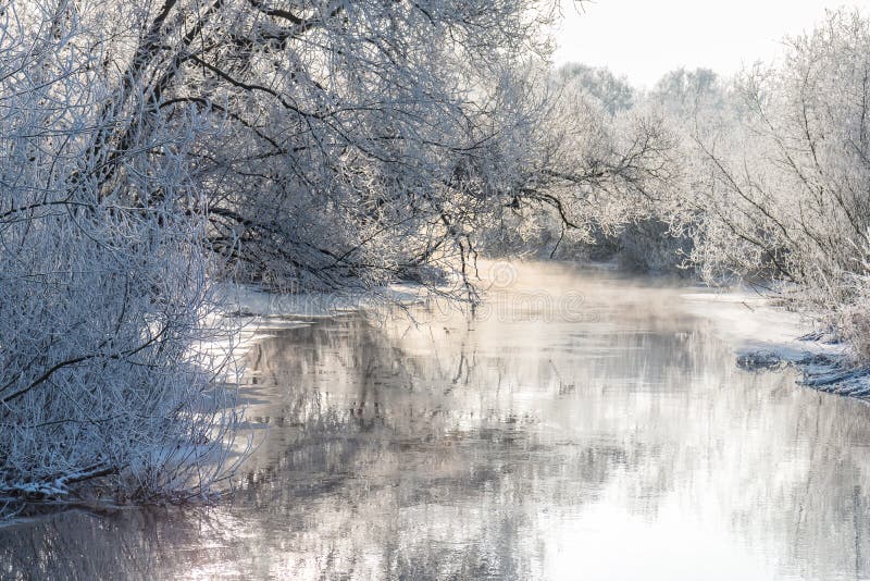 Winter Landscape Frosty Trees And River In Sunny Morning Stock Image