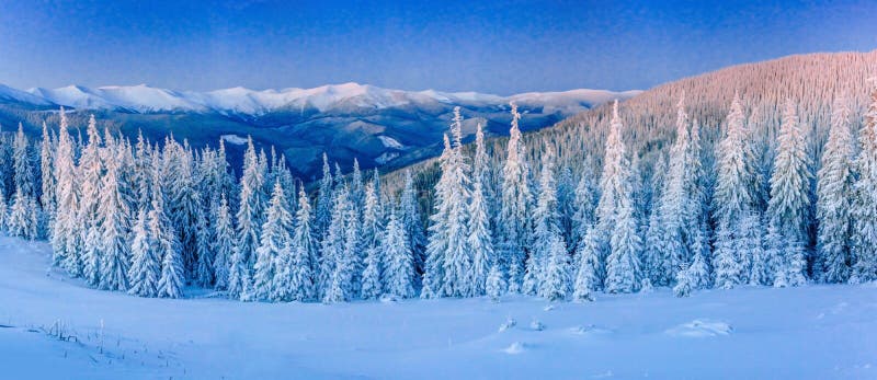 Winter landscape glowing by sunlight. Dramatic wintry scene royalty free stock photography Winter landscape glowing by sunlight. Dramatic wintry scene royalty free stock photography