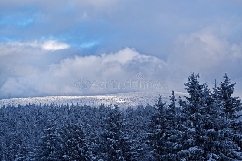 Winter landscape in Harz national park, Germany. Beautiful winter landscape in Harz mountains national park. Torfhaus resort, Germany stock images Winter landscape in Harz national park, Germany. Beautiful winter landscape in Harz mountains national park. Torfhaus resort, Germany stock images