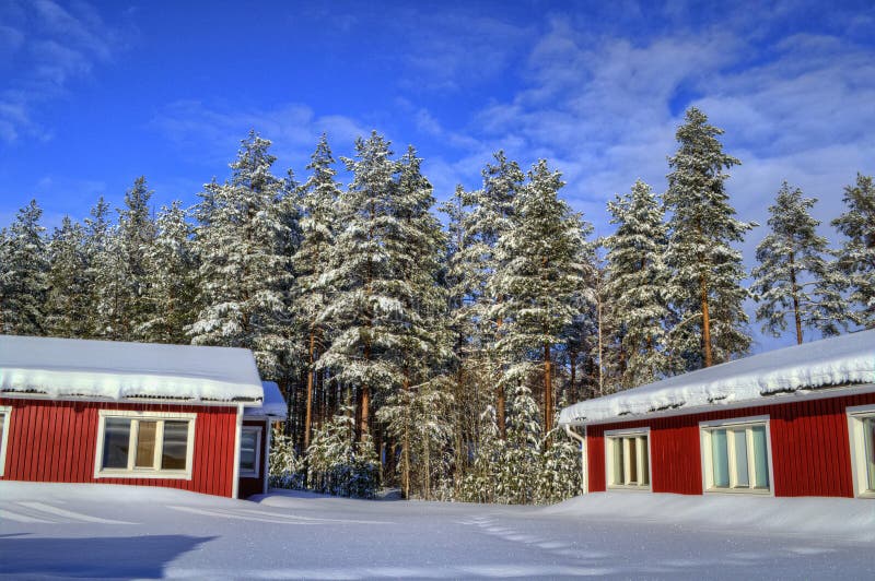  , domy v les v švédsko.