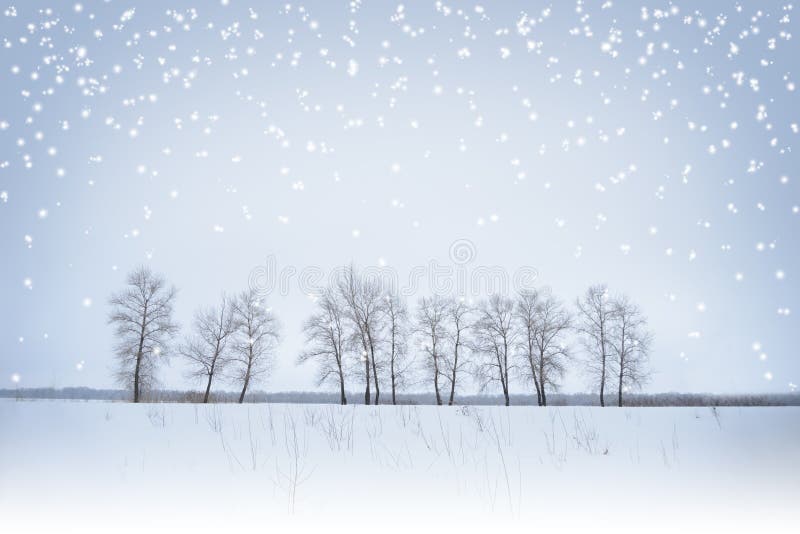 Winter Landscape with Lonely Trees and Snow