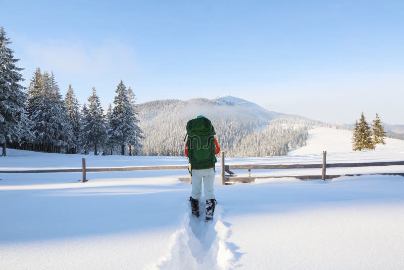 Winter landscape. The meadow overlooks the mountains, the forest with trees covered with snow and the blue sky. Wooden fence.