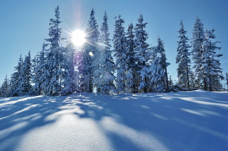 Winter landscape with snow in mountains Carpathians, Ukraine. Winter landscape with snow in mountains Carpathians, Ukraine